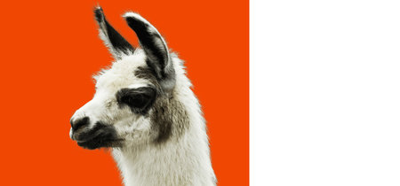 Winamp 5.8 ha sido liberado de forma oficial