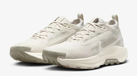 Nike Pegasus Trail 5 Gore Tex