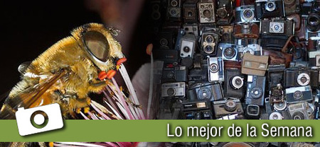 La última semana... en Xataka Foto