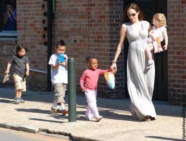 Angelina Jolie is looking for Chencho