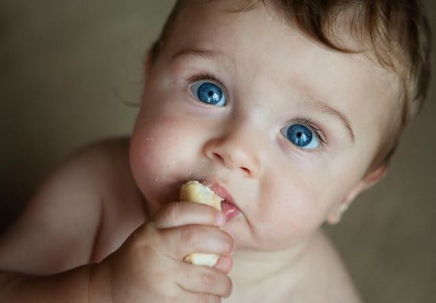 cuando iniciar a atinar fruta a un bebe