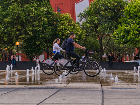 Bicis