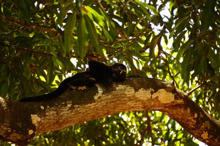 Costa Rica Anabel Palomares 4