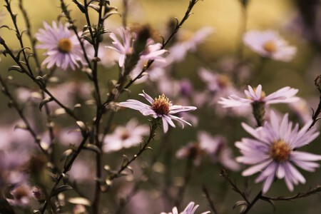 Pexels Christina99999 28945327