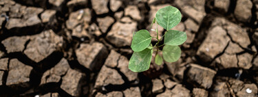 Devido às mudanças climáticas, até 2100 perderemos o equivalente ao que 2 bilhões de pessoas consomem anualmente em colheitas 