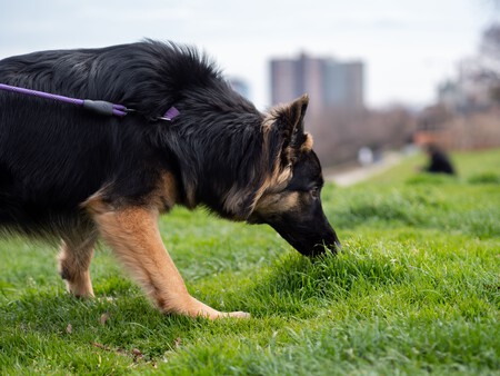 Pexels Gabrielalmanzar 11734169