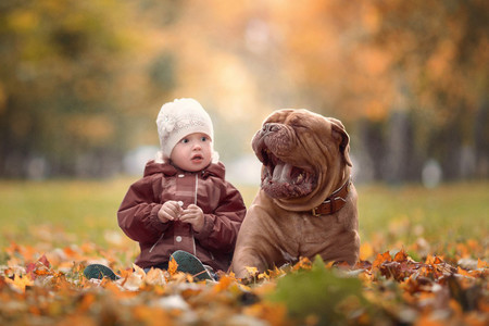 perrosyniños013