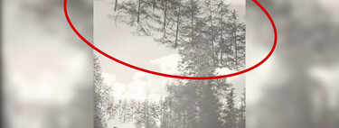 En esta foto, los árboles flotan sobre una carretera. No es IA, es una táctica de guerra de 1940