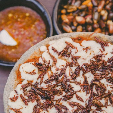 La pizzería mexicana que transforma el abandono social en segundas oportunidades obtuvo un logro histórico
