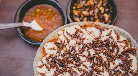 La pizzería mexicana que transforma el abandono social en segundas oportunidades obtuvo un logro histórico