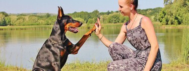 Mi perro cojea: cómo detectar si es algo grave o no, y qué hacer paso a paso 