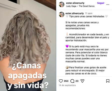 Cuidado De Las Canas