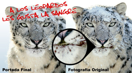 ¿Demasiado sangriento para la caja de Snow Leopard?