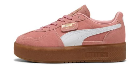 Puma2