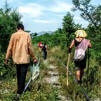 La ley laboral en México obliga a empresas a contratar en su mayoría mexicanos: Morena quiere cambiar esa regla