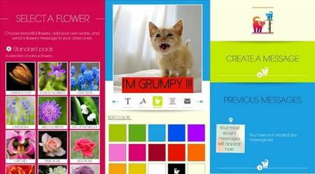 Say it with Flowers y Say it with Cats, usa tu Windows Phone 8 para crear mensajes especiales