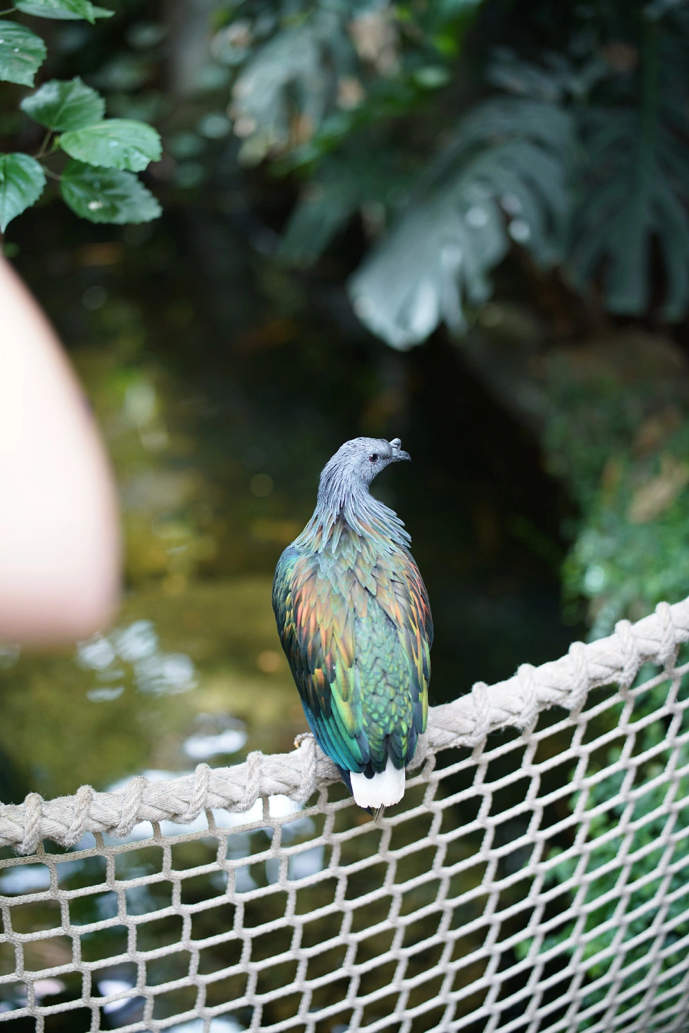 Muestras FE 50mm F1.4 ZA