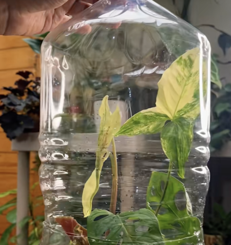 Captura De Pantalla 2025 07 24 A Las 16 27 22