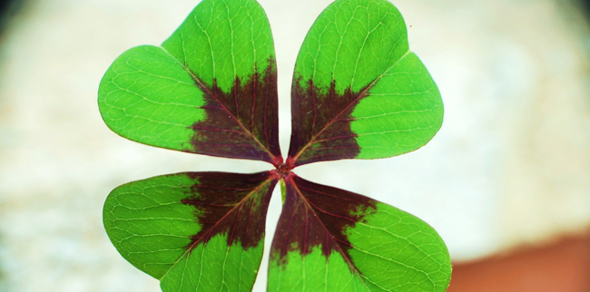 Me han tocado cuarenta euros 