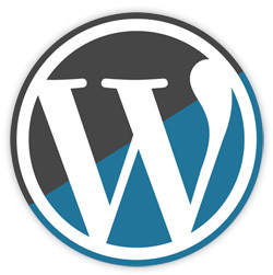 Wordpress 2.8.5, actualización de seguridad