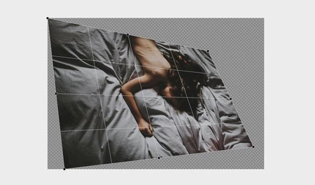 新しい自由変形ツール。