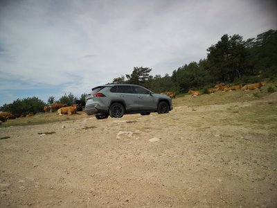 Sacamos partido de los modos de conducción del híbrido Toyota RAV4 hybrid AWD-i