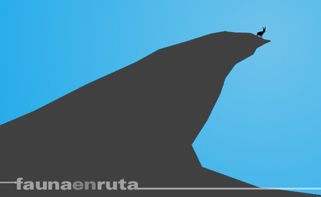 fauna en ruta: La cabra tira al monte
