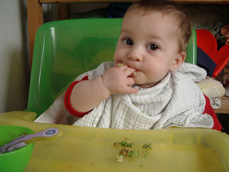 Características que han de cumplir los nuevos alimentos en la dieta del bebé