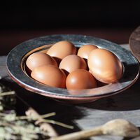 Por que comer ovos todos os dias é uma ótima ideia: sete razões comprovadas pela ciência 