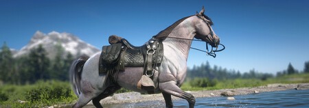 Rose Grey Bay Arabian Rdr2