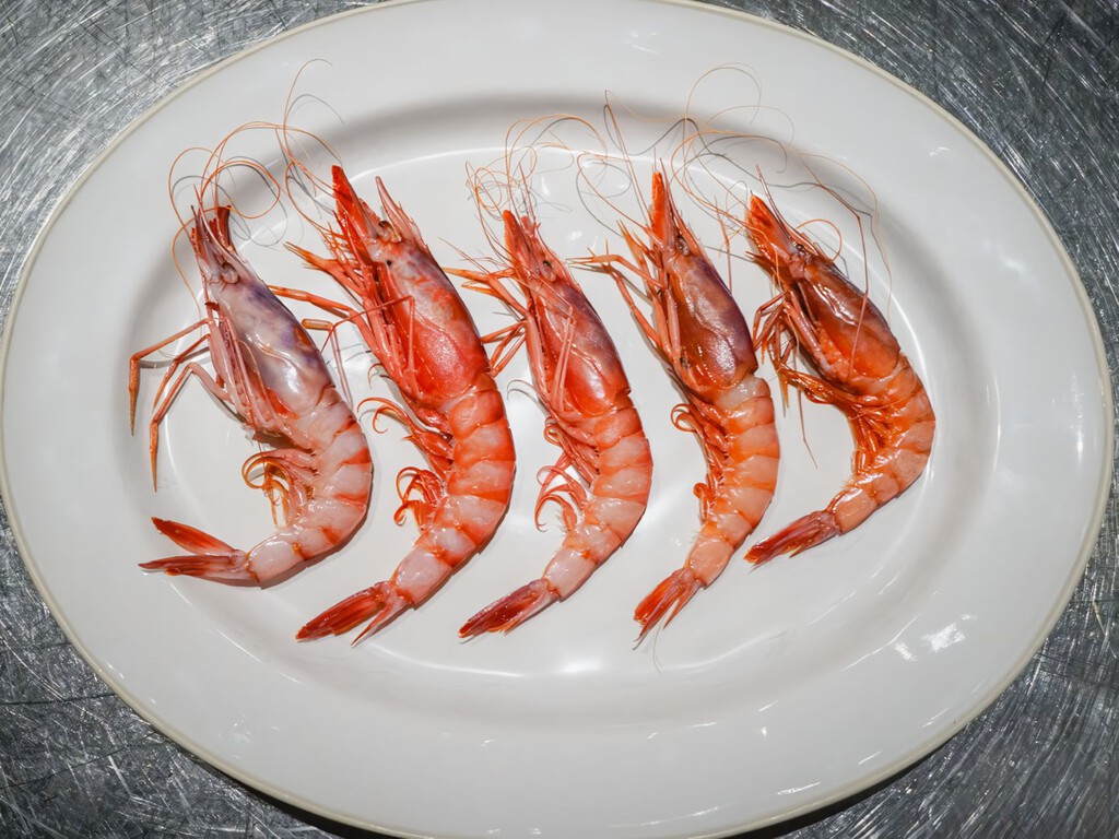 Cómo identificar la verdadera gamba roja, la reina de los crustáceos españoles, y dónde comer las mejores