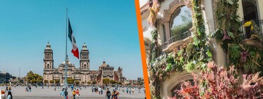 Más de 10 mil flores adornarán el Zócalo de CDMX por San Valentín: además, habrá cine gratis para que armes un picnic