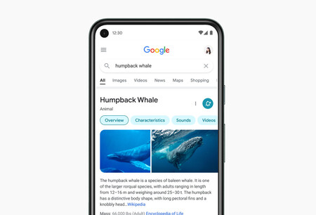 El Buscador de Google comienza a activar el desplazamiento continuo en móviles