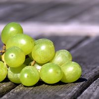 Cómo dar las uvas con las campanadas a los niños para que no se ahoguen con ellas