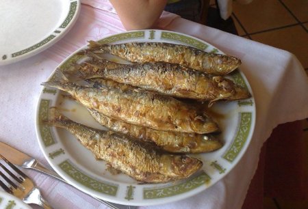 Los pescados agrupados según su contenido en grasa