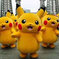 Pokémon se pone muy serio en Japón. Muy pronto le pedirá el DNI nacional a cualquiera que quiera comprar cartas de TCG por internet 