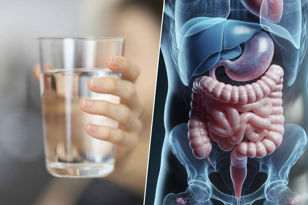 El gran mito de la digestión: por qué beber agua mientras comes no arruina tus jugos gástricos
