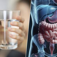 Beber agua mientras comes no solo no "diluye" tus ácidos gástricos: es una excelente idea para hacer la digestión