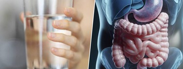 Beber agua mientras comes no solo no "diluye" tus ácidos gástricos: es una excelente idea para hacer la digestión