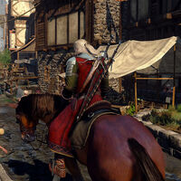Estaba destinado a ser un personaje importante en The Witcher 3, pero fue eliminado junto a una peste que amenazaba a todo el continente