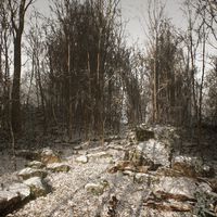 Engañó a toda una PlayStation y ahora mayor trilero de la historia del videojuego puede estar preparando un nuevo título  