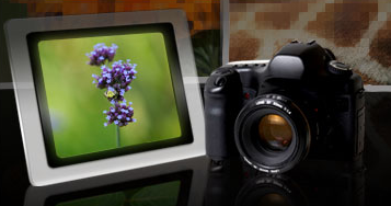 Novedades en Flickr