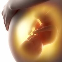 Los movimientos del bebé en las últimas semanas de embarazo