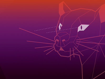 Ubuntu tiene un bug que congela todo el sistema con solo presionar una tecla