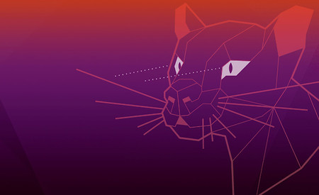 Ubuntu tiene un bug que congela todo el sistema con solo presionar una tecla