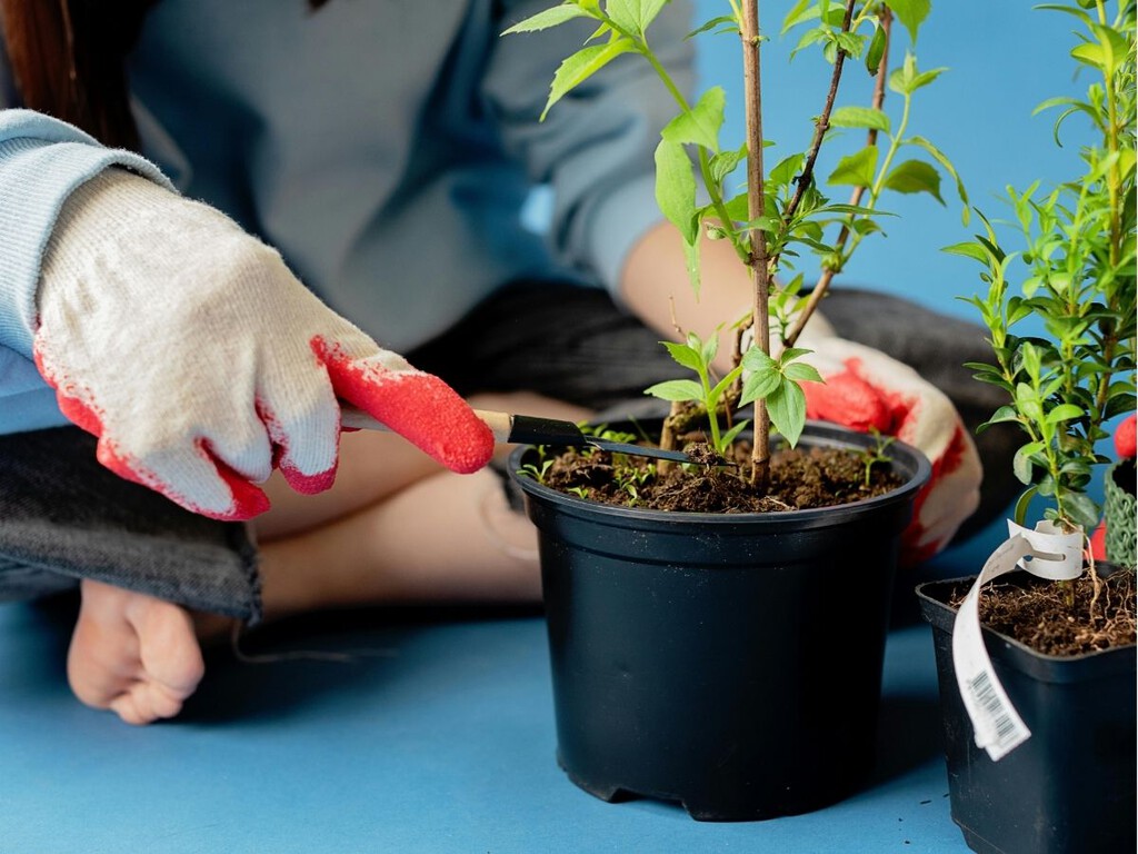 Qué plantar en abril para transformar jardín, terraza y huerto justo antes del buen tiempo