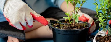 Qué plantar en abril para transformar jardín, terraza y huerto justo antes del buen tiempo 