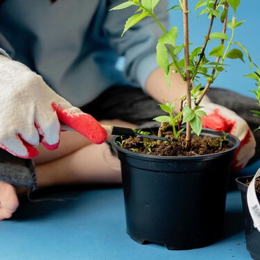 Qué plantar en abril para transformar jardín, terraza y huerto justo antes del buen tiempo 