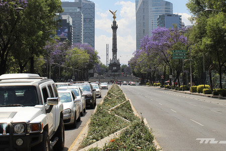 ¿Querías placas de Morelos para evadir la tenencia? Ya no se podrá, la CDMX estrenará sistema digital de emplacado