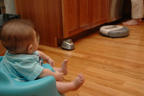 Roomba baby: bebés que se "pasean" sobre robots de limpieza, una moda poco segura